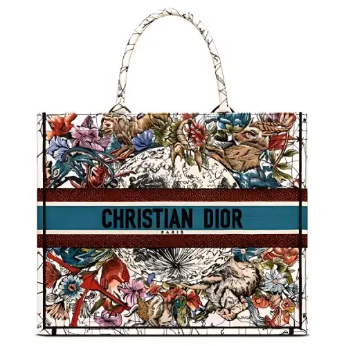 DIOR BookTote Handbags