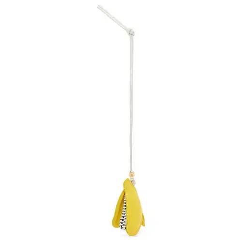 LOEWE Cow Leather Loop Strap Bag Accessory Women's Yellow