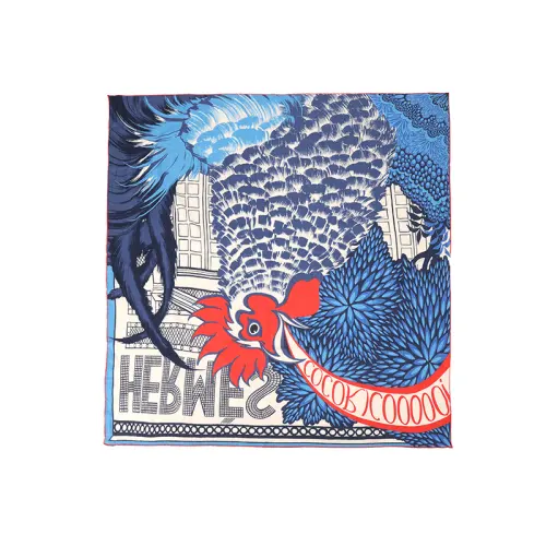 HERMES Scarves Men's