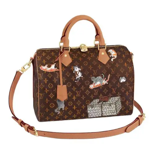 LOUIS VUITTON X Grace Coddington Speedy Bandouliere Catogram 30 Brown/Orange