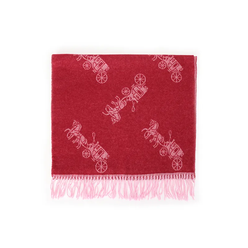 COACH Knit Scarves Unisex