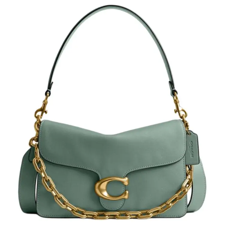 COACH ChainTabby Cow Leather One Shoulder Handbag Medium Women's Gray Green