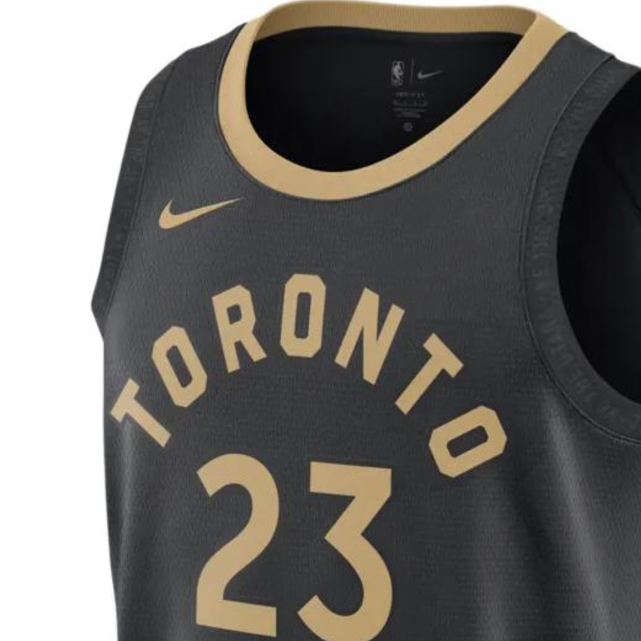 Nike Nba Toronto Raptors Pascal Siakam City Edition Jersey