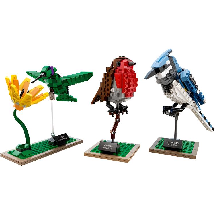 Конструктор LEGO IDEAS (разноцветный)