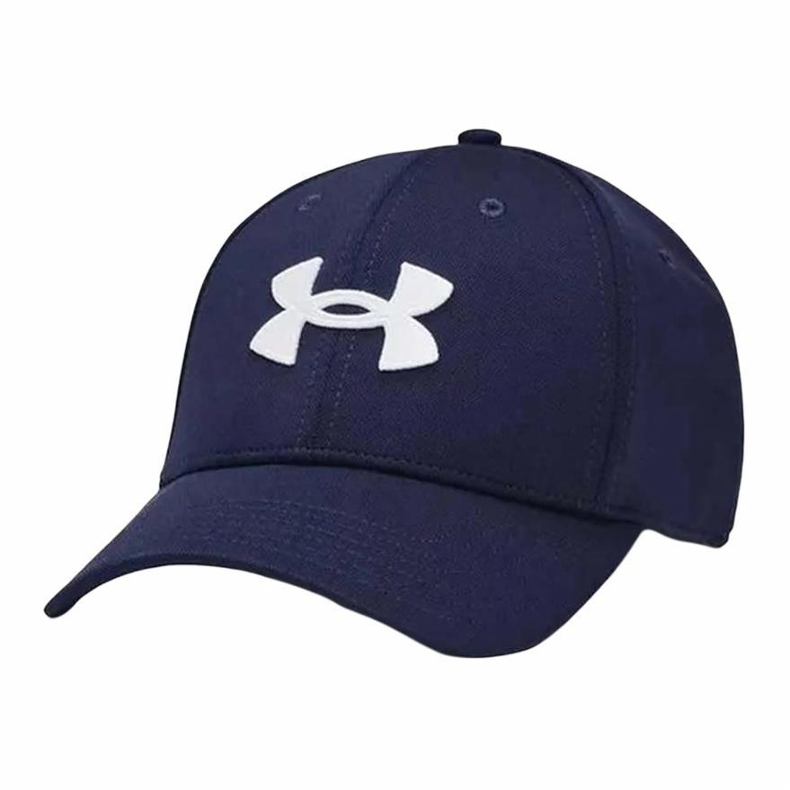 Мужская кепка Under Armour Under Armour (синяя)