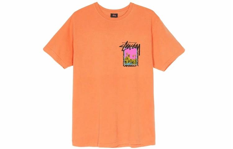 Футболка Stussy Palm Desert Tee T (разноцветный) — фото 8