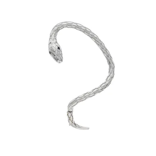 BLACKHEAD Titanium Steel Earrings Unisex Silver