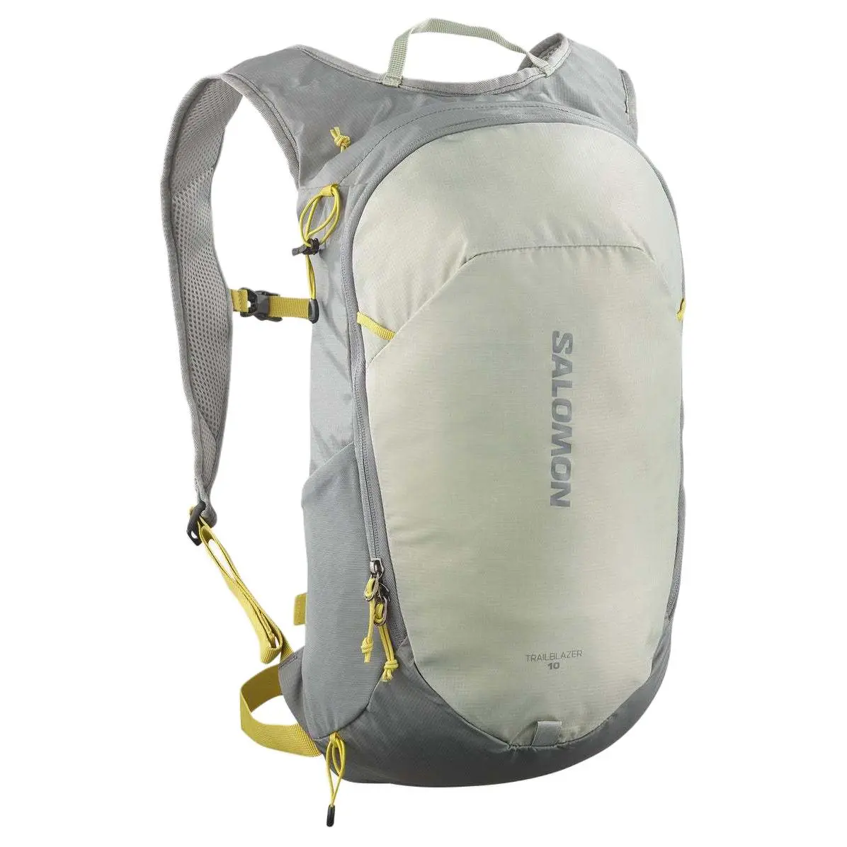 SALOMON 10L Outdoor Bags Polyamide Gray & Green Unisex
