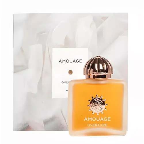 AMOUAGE Overture Perfume Woody Floral Oriental Fragrance EDP 100ml