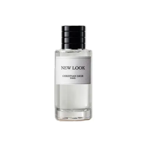 DIOR Collectible Fresh Air Intake Appearance