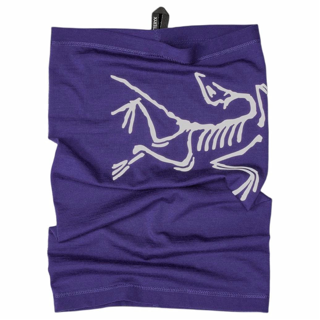 Arcteryx Logo