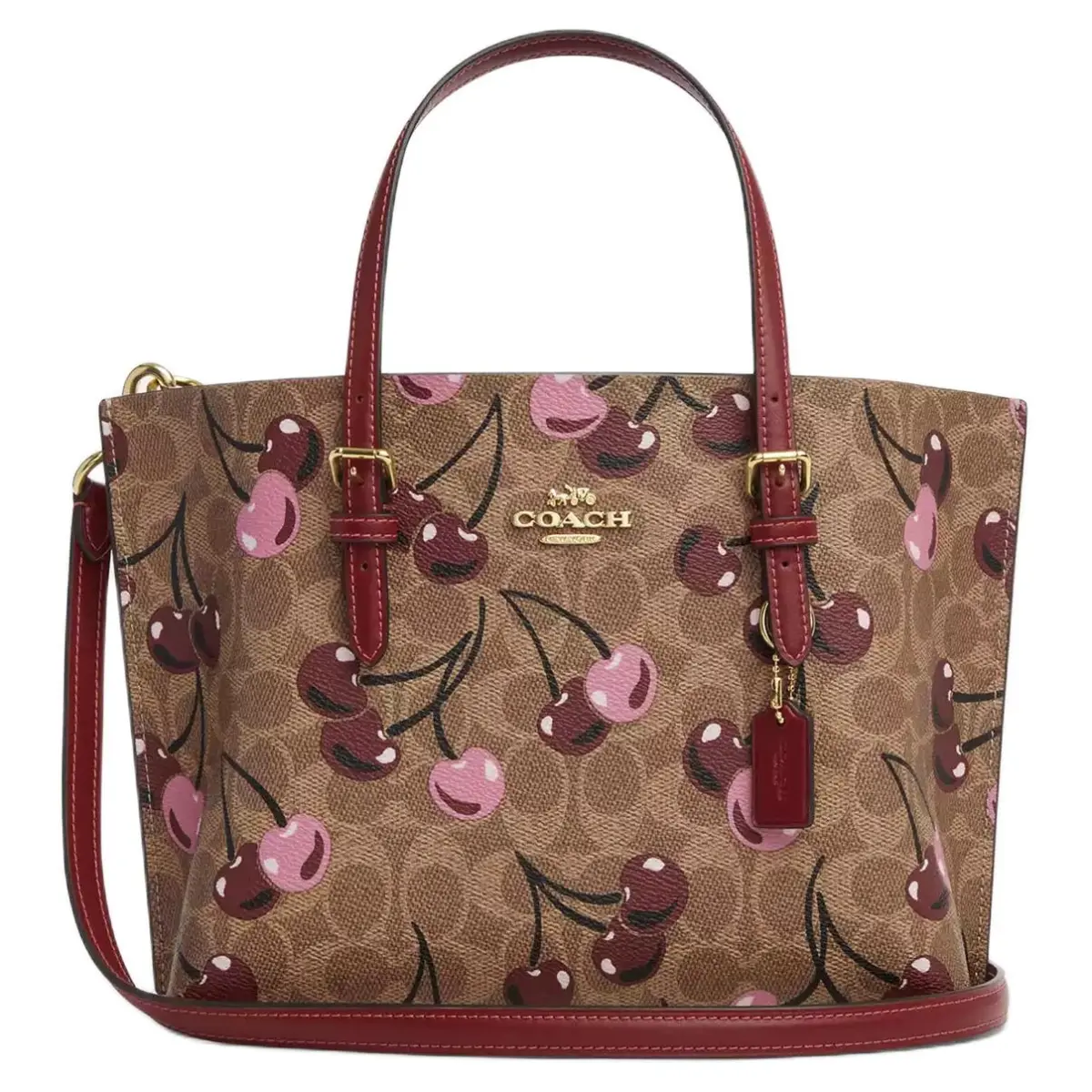 COACH Mollie Coated Canvas Tote Bag, Shopping Bag, Shoulder Bag, Handbag 25 Women's Tan & Multicolor