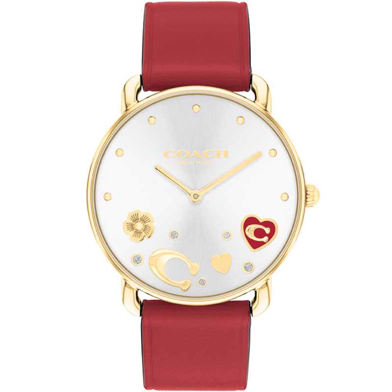 Женские часы COACH COACH ELLIOT 36mm 30 (серебристый)