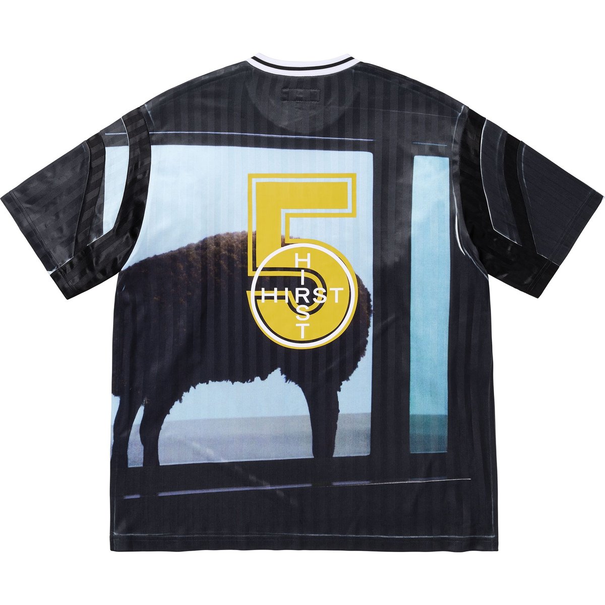 Supreme X Damien Hirst Soccer Jersey