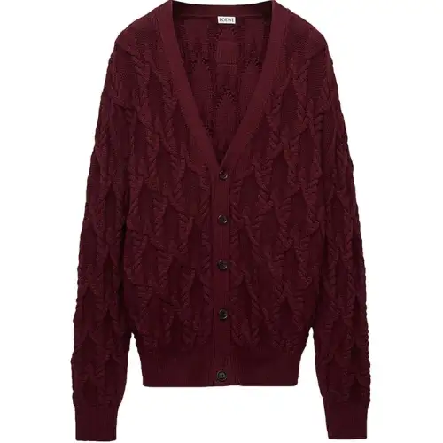 LOEWE SS25 Knitwear Men's Burgundy Red
