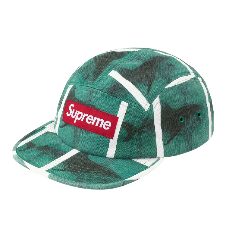 Supreme x Damien Hirst camp cap