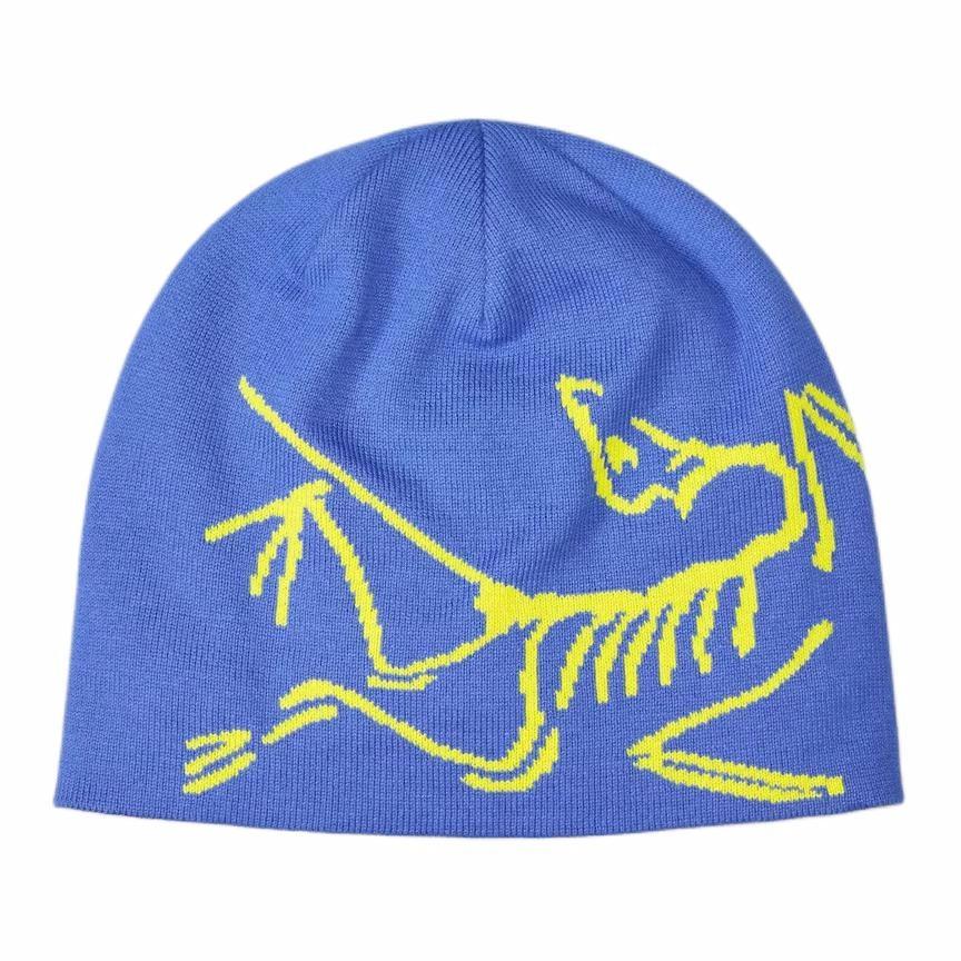Шапка Arcteryx Arcteryx (синяя)