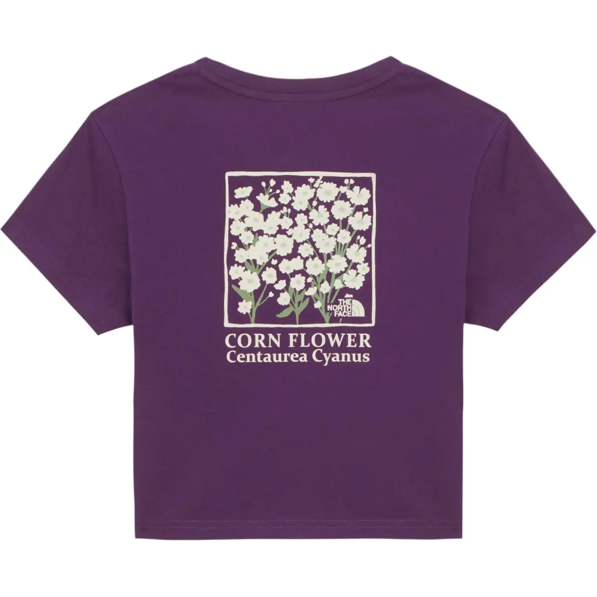 THE NORTH FACE T Shirt Women's Purple