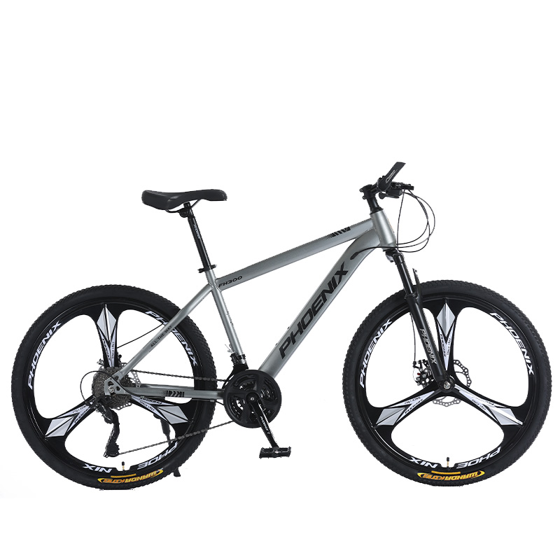 Phoenix, durable wear-resistant high quality universal mountain bike disc brake for men and women