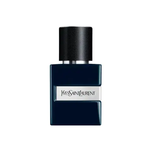 SAINT LAURENT 2025Y Le