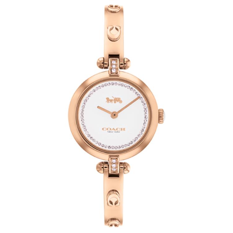 Женские часы COACH Cary 26mm (серебристые)