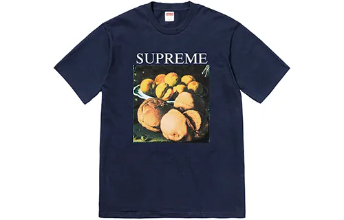 Supreme FW18 T Shirts Unisex Crew Neck Moderate Straight Fit