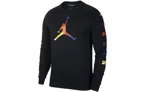Jordan Sweatshirts Men's Crew Neck Moderate Regular