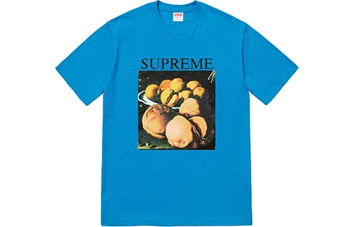Supreme Still Life Tee