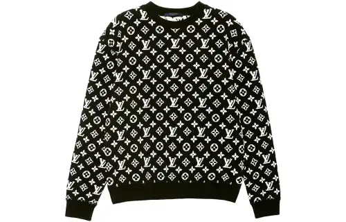 Louis Vuitton 2021 monogram sweater