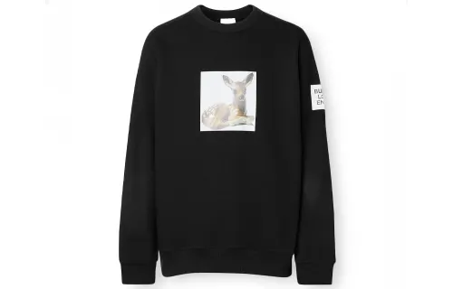 Burberry Sweatshirts Men's Crew Neck Moderate Regular