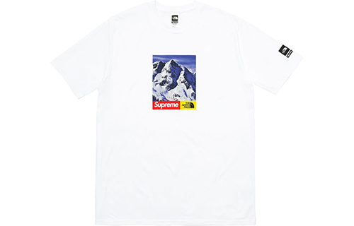 Футболка Supreme FW17 T (белая) — фото 1
