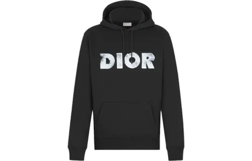 DIOR Arsham Logo Hoodie