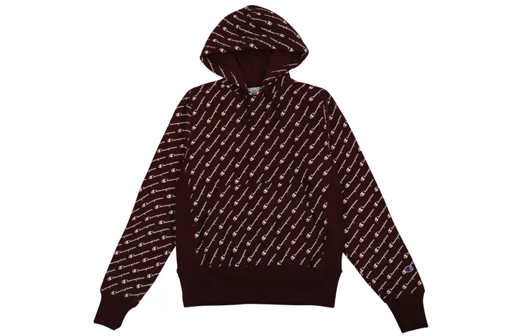 Champion Sweatshirts Unisex Hooded Moderate Regular
