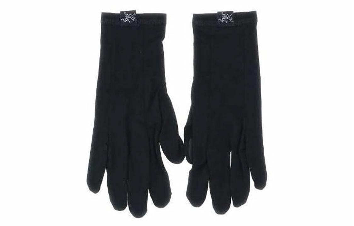 Мужские перчатки Arcteryx Arcteryx / (черные)