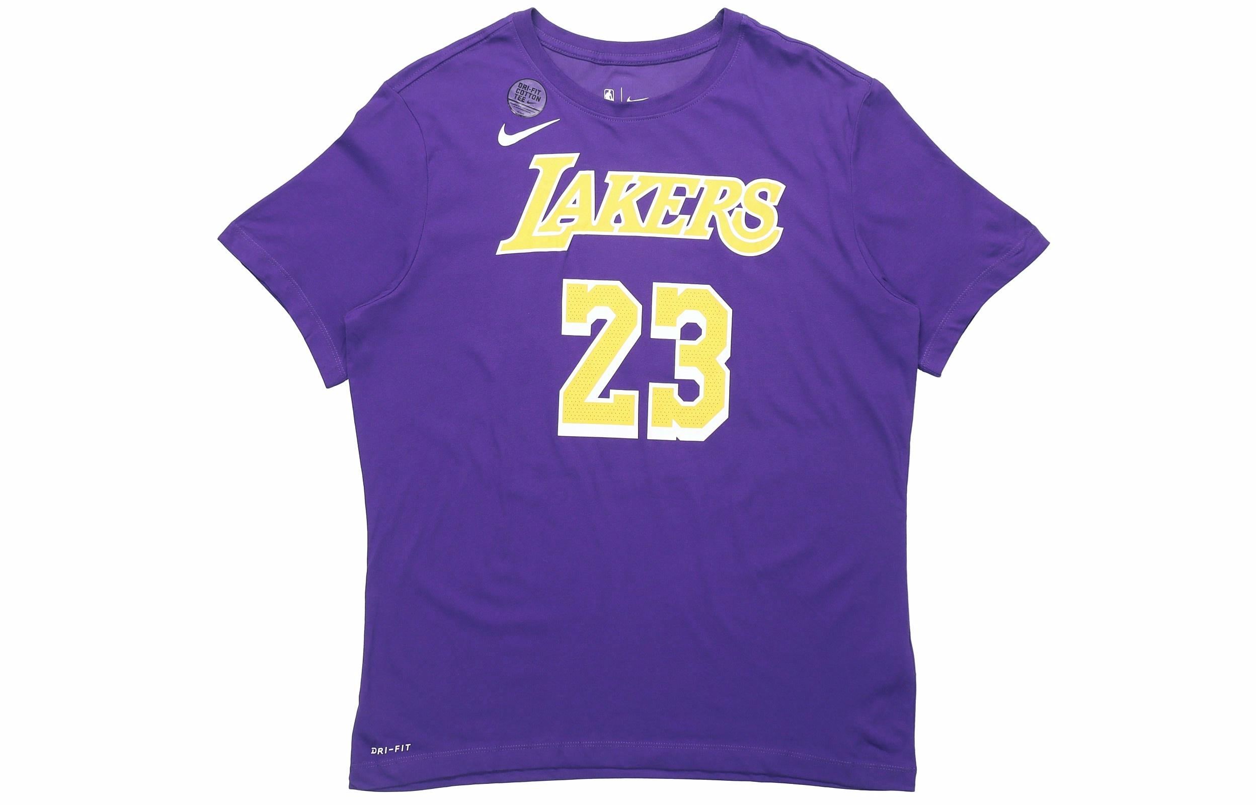Мужская футболка Nike Lebron James Jersey T-shirt (фиолетовая) — фото 1