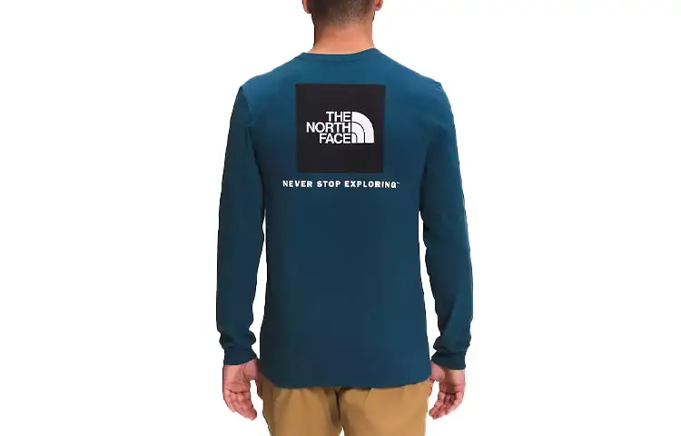 THE NORTH FACE T Shirts Men's Blue Crew Neck Moderate Straight Fit