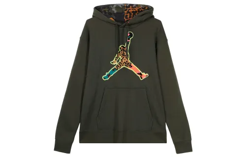 Jordan Sweatshirts Men's Green Hooded Moderate Regular