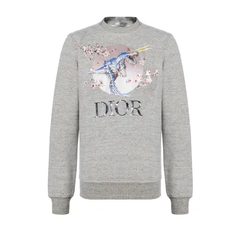 DIOR Quarterly New Products Sweatshirts Unisex Gray Crew Neck Moderate Heavyweight