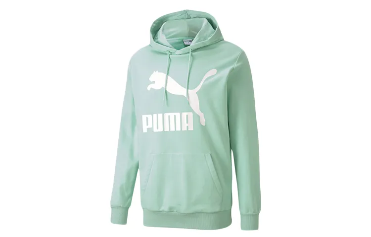 PUMA Sweatshirts Men's Verdant Green Hooded Moderate Regular