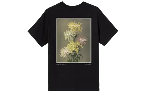 Stussy T Shirts Unisex Crew Neck Moderate Straight Fit