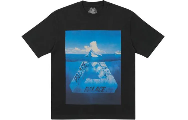 PALACE Berg Ferg T shirt