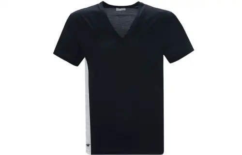 DIOR Quarterly New Products T Shirts Men's Black V Neck Moderate Straight Fit