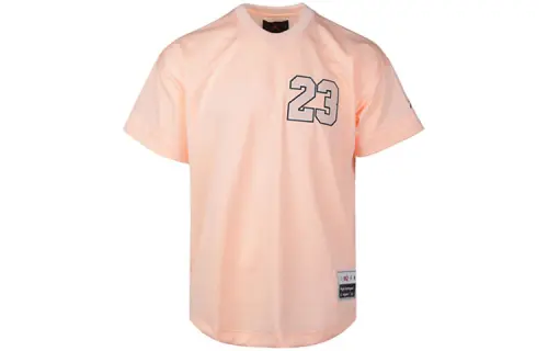 Jordan T Shirt Men's Lotus Color