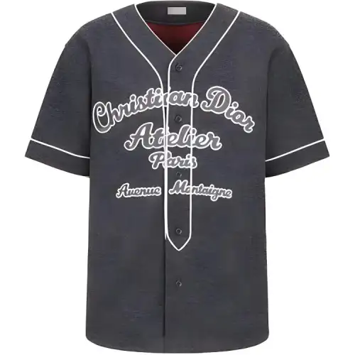 DIOR T Shirts Men's Gray V Neck Moderate Straight Fit