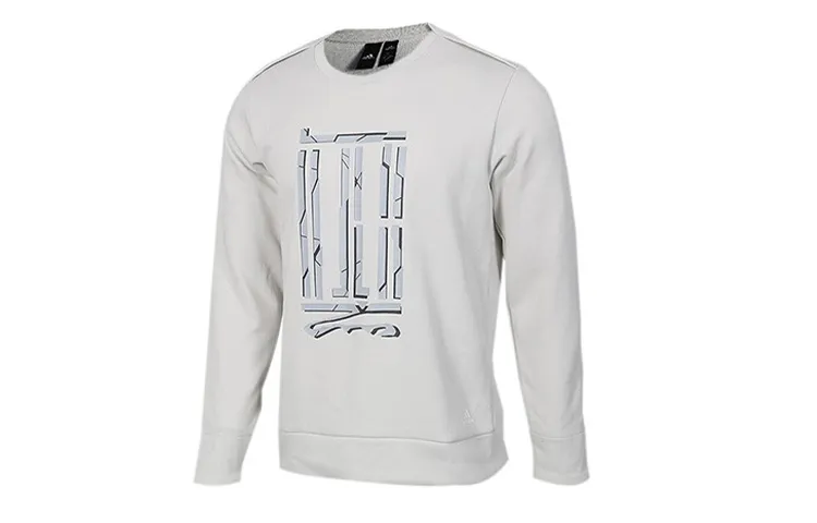 Adidas Sweatshirts Men's Gray Crew Neck Moderate Regular