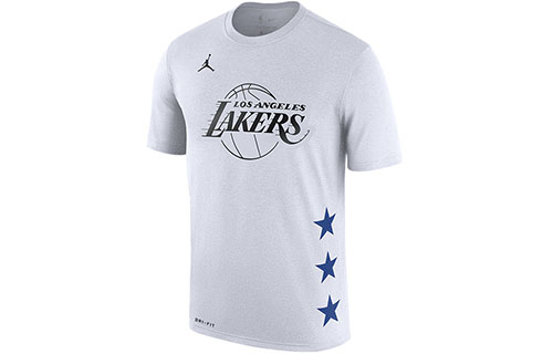 Мужская футболка Nike NBA LeBron James (серо-белая) — фото 1
