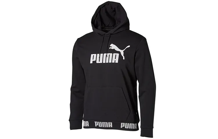 Puma Amplified hoodie