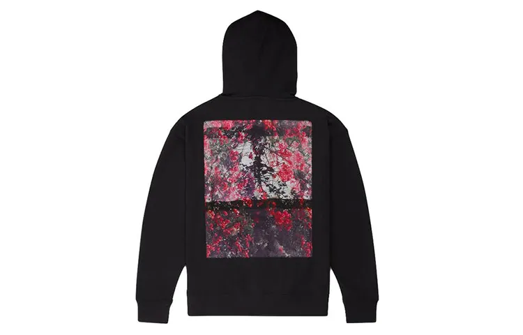 Converse Sweatshirts Unisex Black Hooded Moderate Regular