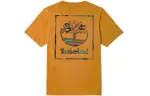 Timberland T Shirts Men's Wheat Crew Neck Moderate Straight Fit