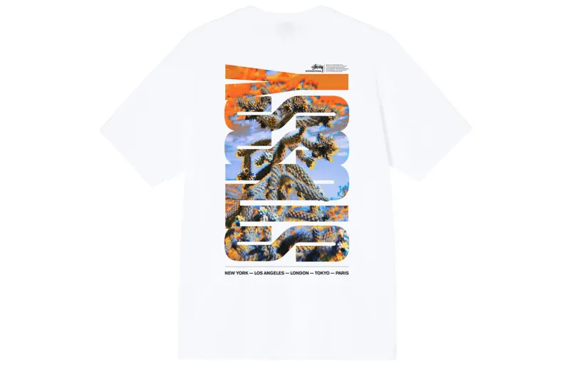 Stussy Desert Sky Tee